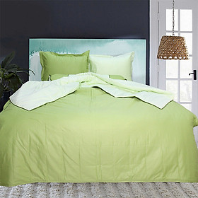 Bộ drap gối cotton satin Ai Cập Julia 538BK18 180 x 200 x 28