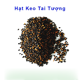 HẠT GIỐNG KEO TAI TƯỢNG (1kg bao nảy mầm)