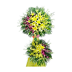 Mua Hoa Tang Chia Buồn – 362