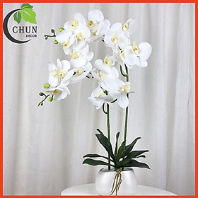 Chậu hoa giả lan hồ điệp để bàn 2 nhánh cao 60cm trang trí nhà cửa