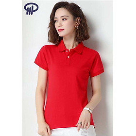 Áo thun Polo trơn nữ có cổ Phúc An 4054 có size lớn (big size)