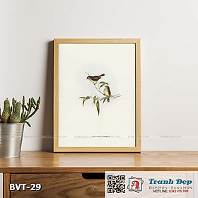 Tranh canvas vintage - Chim sẻ (Acanthiza pusilla) - BVT-29