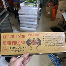 Mua Keo siêu dính chuột