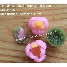 Khuôn búp sen thái , dương sen và ếch silicon