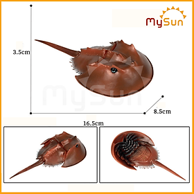 Bộ đồ chơi mô hình sinh vật cua biển, cá mập megalodon, cá voi xanh sát thủ.