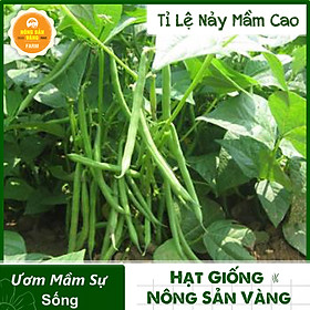 Hạt giống Đậu Ve (Đậu Cove Hạt Đen) Giàu Dinh Dưỡng, Dễ Chế Biến Thành Nhiều Món Ăn  (Gói 20 Gram) - Nông Sản Vàng