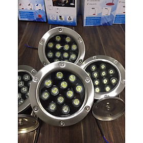 Mua  CHÍNH HÃNG  Đèn LED Âm Nước 12W AC24V INOX 304 Tiêu Chuẩn IP 68 Dùng Chiếu Bể Cá Hồ Bơi