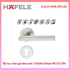 Mua Bộ tay nắm gạt inox mờ 135x60x19mm Hafele 903.92.556