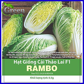 Mua Hạt Giống Cải Thảo Lai F1 Xuất Xứ Nhật
