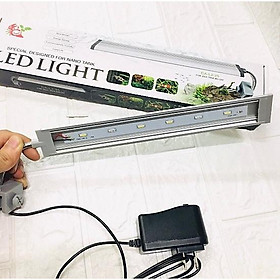 Led Kẹp Crab Aqua 30cm Dành cho hồ cá đẹp siêu sáng, LONG THÀNH CÁ CẢNH