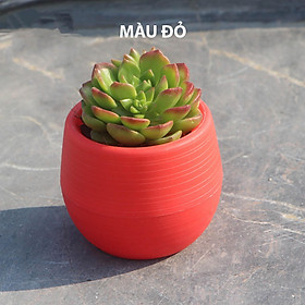 Chậu Trồng Cây Mini 7x7cm (Không Gồm Cây) Có Đáy Trữ Nước - Chậu Hoa Đa dạng màu sắc - Trang trí nhà cửa, văn phòng tuyệt đẹp