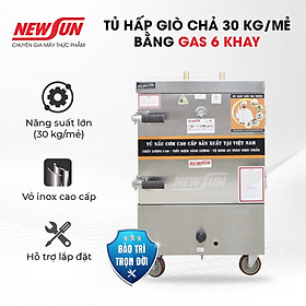 Mua Tủ Hấp Giò Chả  Thực Phẩm 30 Kg Bằng Gas 6 Khay Nhập Khẩu NEWSUN - Hàng Chính Hãng