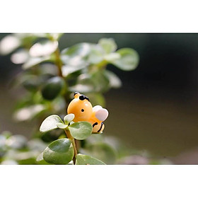 Mua KHO-HN * Combo 05 mô hình ong vàng nhỏ xinh trang trí tiểu cảnh  móc khóa  DIY