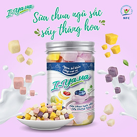 Sữa chua khô - Sữa chua sấy lạnh cho bé ăn dặm I-Yaua 05 vị (việt quất, sầu riêng, chuối, dâu và truyền thống) hũ 55g