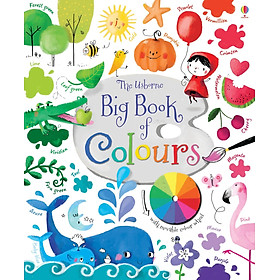 Sách thiếu nhi tiếng anh 3+ Big Book of Colours