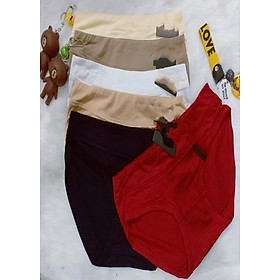 Combo 10 Quần Lót Cotton cao cấp hàng việt Nam QL2008