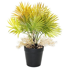 Chậu Cây Nhựa Trang Trí - WanLongDa 769-8