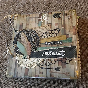 Album khoen còng- The Spring Moment