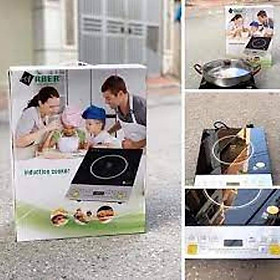 Mua Bếp Từ đơn Arber AB300 kèm nồi  Hàng chính hãng