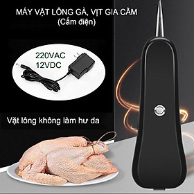 Máy vặt lông gà, vịt gia cầm bằng tay (loại cắm điện)