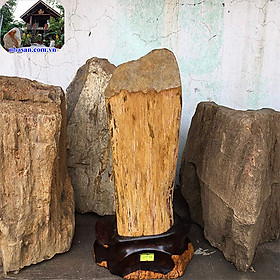 Mua Trụ Gỗ Hóa Thạch Tự Nhiên Phong Thủy GHT44 nặng 3.64kg kích thước 34x10cm (Vàng đất) – Vật phẩm phong thủy may mắn