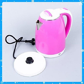Mua Ấm siêu tốc 2 lớp màu ngẫu nhiên - Hàng Chất Lượng