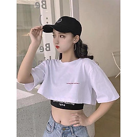 Set Áo Croptop Nữ Đẹp, Tay Ngắn, Áo ngoài Cotton - Áo trong bo Zíp