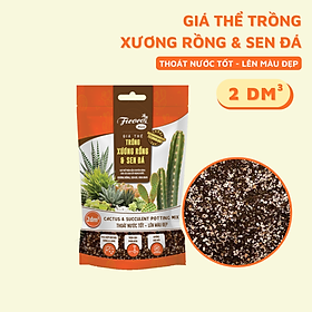 Mua Giá Thể Trồng Xương Rồng  Sen Đá Cao Cấp Ficoco