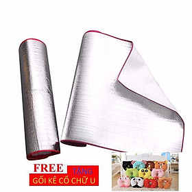 Mua Khuyến Mãi - Chiếu Ngủ Văn Phòng + Tặng Gối Kê Cỗ Chữ U