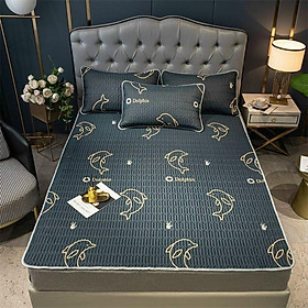 Mua Chiếu Điều Hoà Cao Su Non 2D loại dày mát