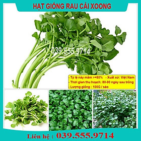 Mua Hạt Giống Rau Cải Xoong ( cải Xong) trồng tại vườn  sân thượng  nông trang  ban công