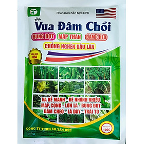 Mua Phân Bón Vua Đâm Chồi Giúp Cây Ra Đọt Đều  Xanh Lá  Vọt Đọt Thần Tốc Đâm Chồi Mạnh  Chống Nghẽn Đầu Lân  Vươn Đọt Cao