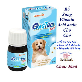 Chai bổ sung dinh dưỡng Vitamin & Acid amin cho Chó Vemedim Gastro Gel Chai 30ml Giúp hỗ trợ tiêu hóa, Tăng sức đề kháng