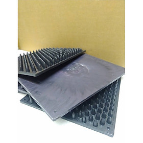Mua Bộ 10 cái Miếng gai nhựa cứng chống tắc kè  thằn lằn phá hoại nhà yến