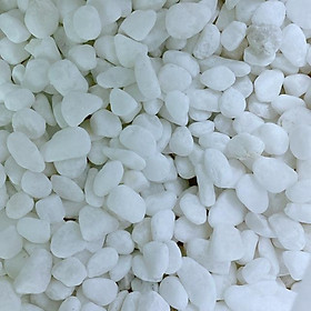 Mua Sỏi Trắng Nhỏ 1-2mm 1KG