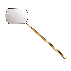 Stainless Steel Mirror for Checking Eyelash Extension Applying Tools