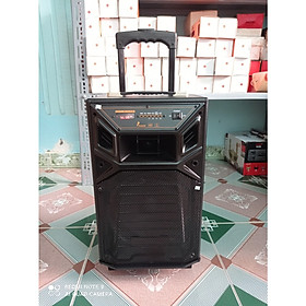 Loa kéo di động Q8 Karaoke có 2 micro kết nối bluetooth thùng gỗ