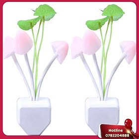Mua Bộ 02 Đèn Ngủ Hình Nấm Panda - Giao Mẫu Ngẫu Nhiên - Miễn Phí Vận Chuyển