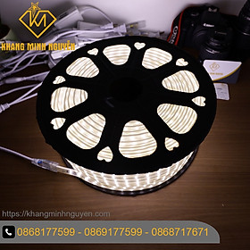 Led dây 220V 2 hàng bóng - bọc chống nước - Trắng - Vàng - Xanh dương - dùng trang trí trần, quấn thân cây