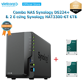 Combo Thiết bị lưu trữ NAS Synology DS224+ và 2 Ổ cứng Synology HAT3300-6T Hàng Chính Hãng