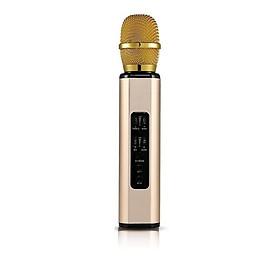 Mua Micro Kèm loa karaoke Bluetooth hát karaoke bằng điện thoại cao cấp PKCB BM06 cắm thẻ nhớ có thể dùng trợ giảng 3 trong 1 Vàng ánh kim