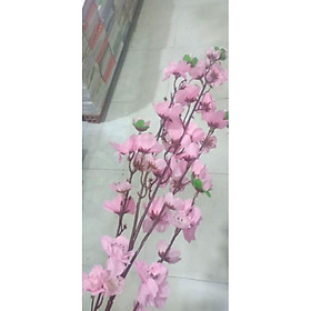 Mua 10 cành bông hoa đào  hoa Mai