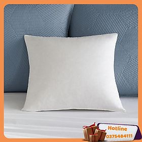 Mua Combo 2 Ruột Gối Hơi Cao Cấp 40 X 60Cm - Hàng Loại 1