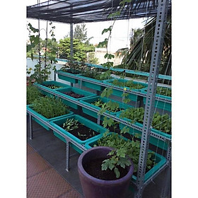Mua kệ sắt v lỗ bậc thang 3 tầng (R30cm xD60-80-1M-1 2M) trụ sắt V3x3cm và V4x4cm đa năng