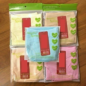 Set 5 Quần Lót Bầu Cạp Chéo Loại Đẹp Trong Túi Zip,100%, Cotton