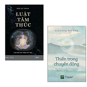 Combo 2 cuốn sách về Tôn Giáo - Tâm Linh : Thiền Trong Chuyển Động + Luật Tâm Thức - Giải Mã Ma Trận Vũ Trụ