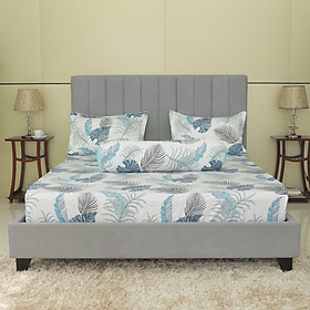 Bộ drap gối Hometex cotton in hoa văn