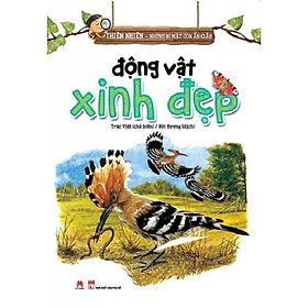 Sách - Động Vật Xinh Đẹp - Huy Hoàng Bookstore