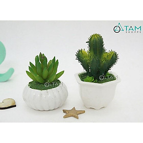 Mua Chậu hoa giả để bàn Sen đá nhí số 64