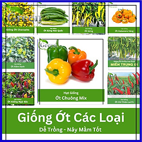 Mua Hạt Giống Ớt Các Loại (Ớt Xiêm  Ngũ Sắc  Chỉ Thiên  Chỉ Địa ...) Dễ Trồng  Nảy Mầm Tốt